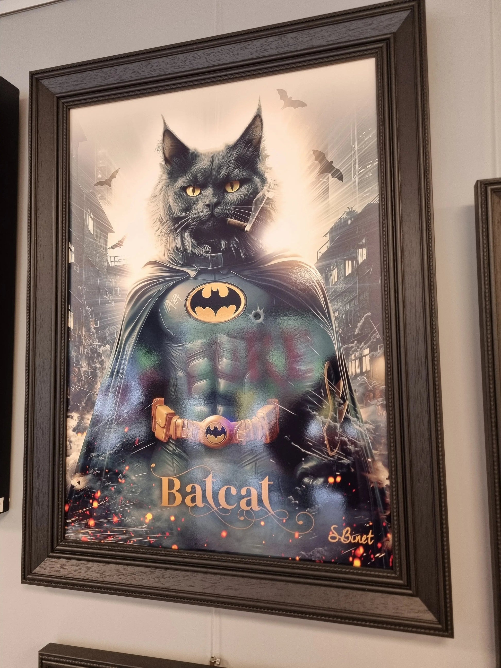 Cadre Bat Cat – Sylvain Binet CADRAVEN