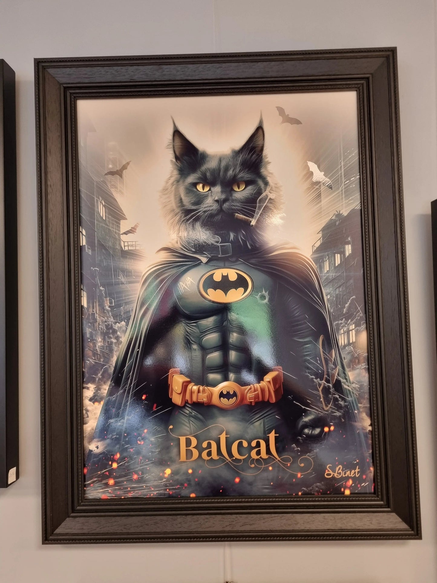 Cadre Bat Cat – Sylvain Binet CADRAVEN