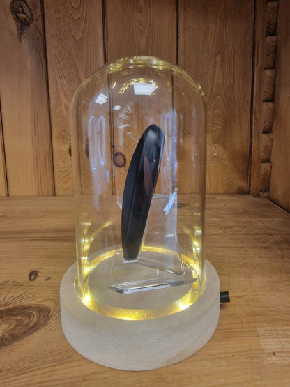 Clé Porsche Sous Cloche LED – Objet de Collection Automobile Ø 10 cm – H 16 cm