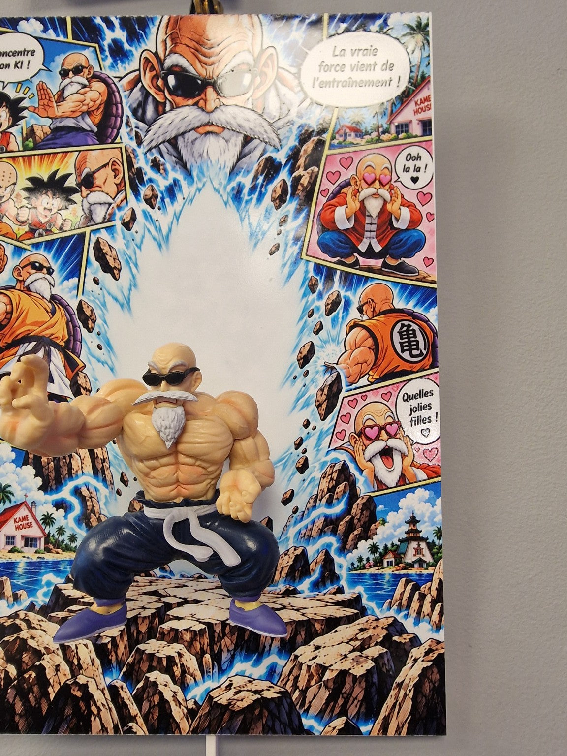 Tableau manga Dragon Ball Tortue Géniale 3D 20 x 30 cm – photo 3