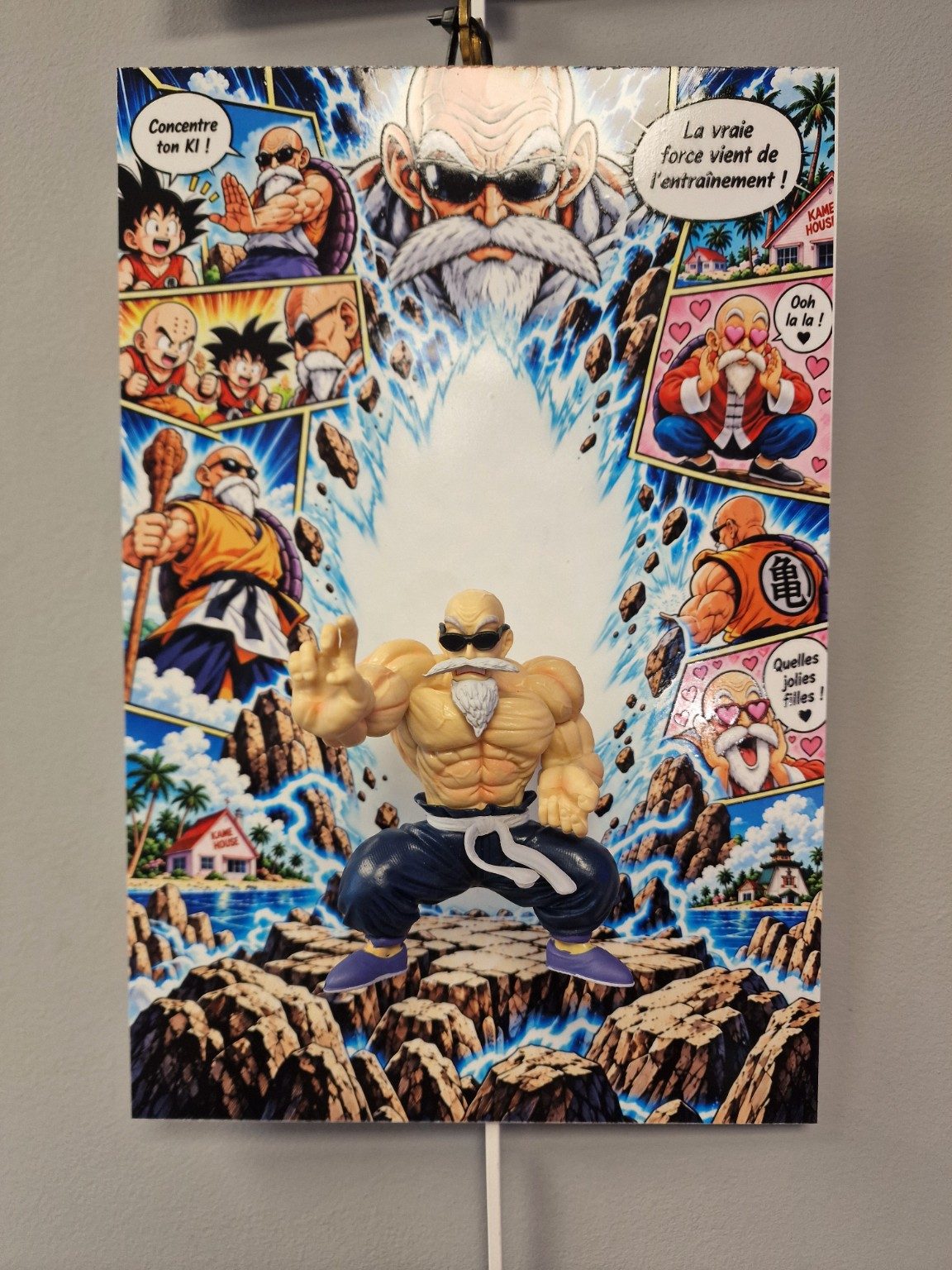 Tableau manga Dragon Ball Tortue Géniale 3D 20 x 30 cm, photo du produit sous différents angles