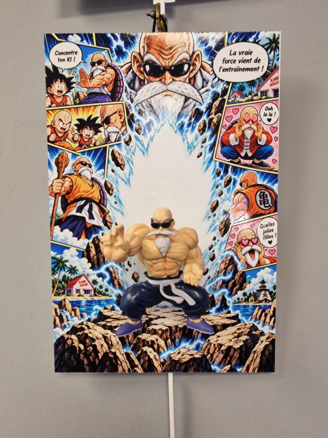 Tableau manga Dragon Ball Tortue Géniale 3D 20 x 30 cm, photo du produit sous différents angles