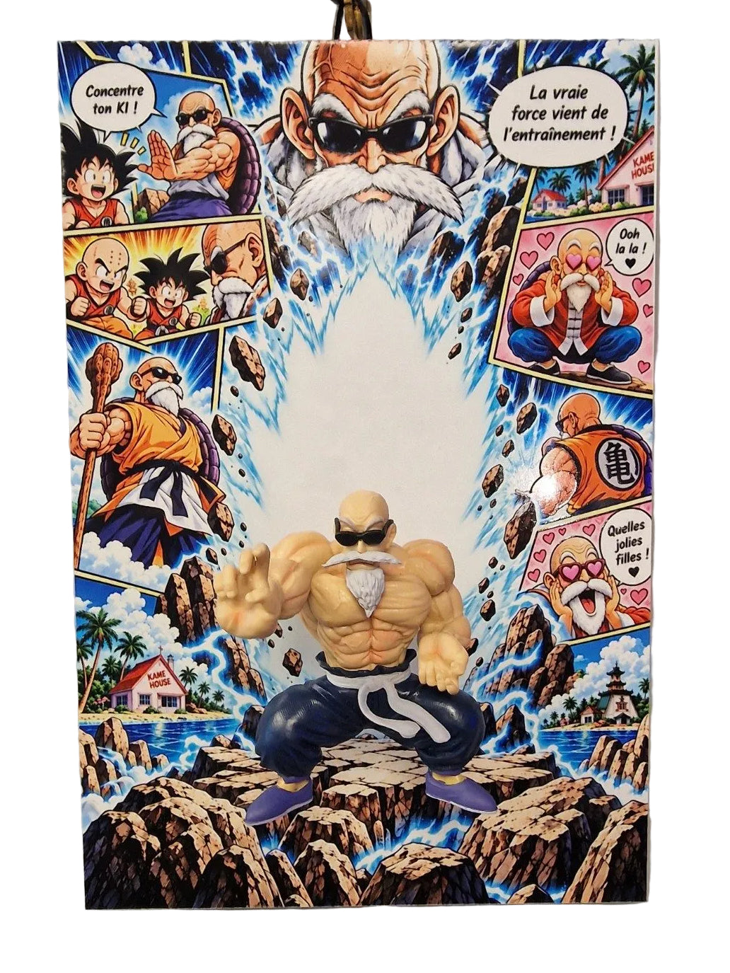 Tableau manga Dragon Ball Tortue Géniale 3D 20 x 30 cm, photo du produit sous différents angles